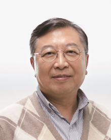 Professor Lee, Insung