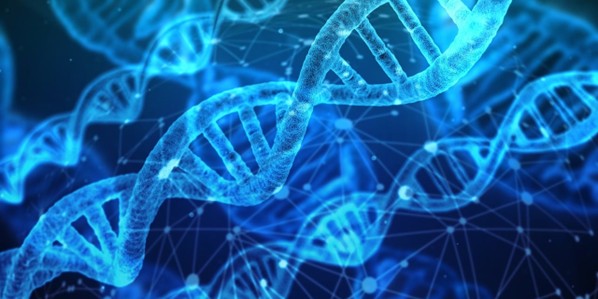 DNA 일러스트