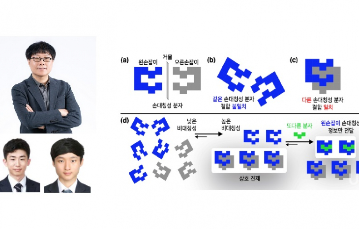 화학부 이동환 교수 연구팀, 생명의 비대칭성 클립 모양 분자로 그 기원을 설명하다