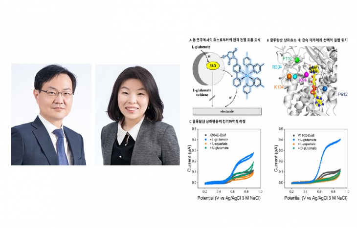 화학부 정택동 교수, 송윤주 교수 공동연구팀, 글루탐산 감지법 개발