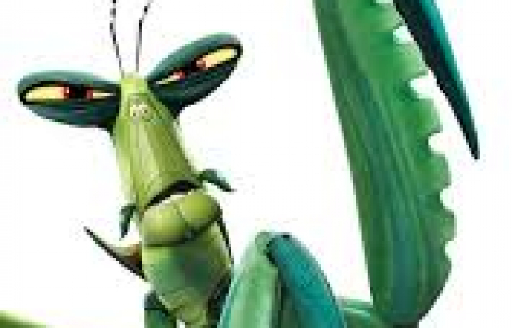 사마귀, 자연의 작은 사냥꾼