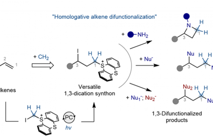화학부 홍승윤 교수 연구팀, ‘탄소 하나’로 분자 설계 새로운 지평 열어
