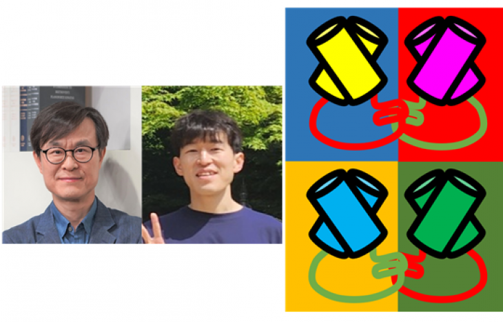 생명과학부 조형택 교수 연구팀, 식물의 성장 방향을 정하는 단백질, 서로 '손잡기'로 위치와 움직임 조절